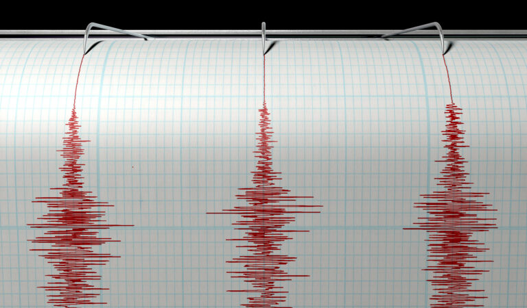 Seismic Data Plots