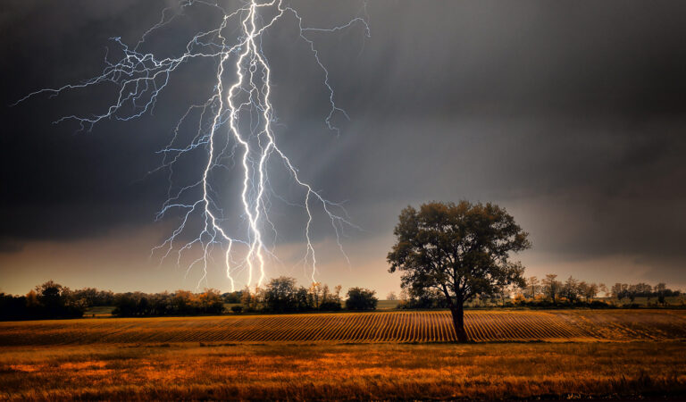 Lightning Over Field